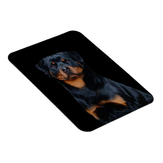 Rottweiler Magnet (Rechte Seite)