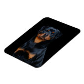 Rottweiler Magnet (Linke Seite)