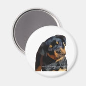 Rottweiler Magnet (Vorderseite/Rückseite)