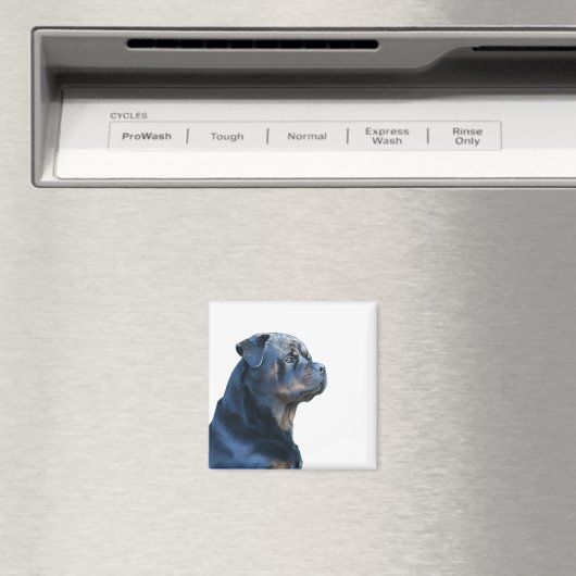 Rottweiler Magnet (In Situ (Geschirrspüler))