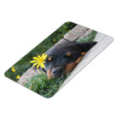 Rottweiler Magnet (Linke Seite)