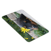 Rottweiler Magnet (Rechte Seite)
