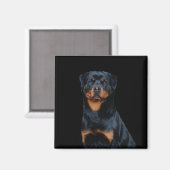 Rottweiler Magnet (Vorderseite/Rückseite)