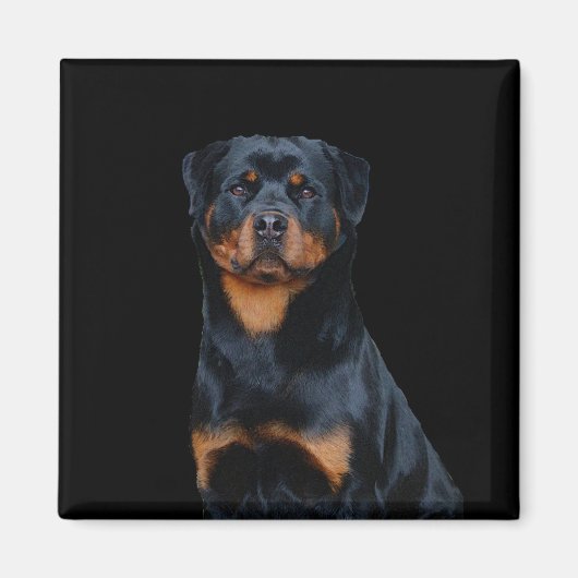 Rottweiler Magnet (Vorne)