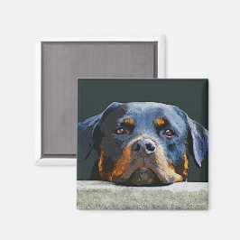Rottweiler Magnet