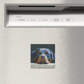 Rottweiler Magnet (In Situ (Geschirrspüler))
