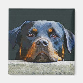 Rottweiler Magnet (Vorne)