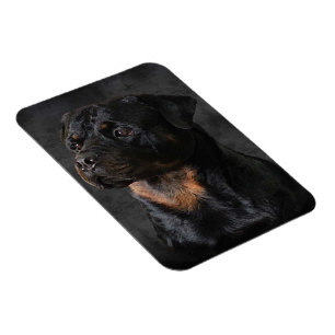 Rottweiler Magnet