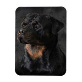Rottweiler Magnet (Vertikal)