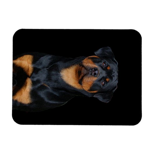 Rottweiler Magnet (Horizontal)