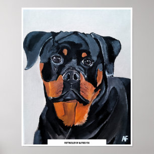 Rottweiler-Malerei von Alfred Fox Poster