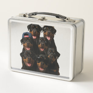 Rottweiler Metall Brotdose