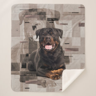 Rottweiler - Metzgerhund Digital Kunst Sherpadecke