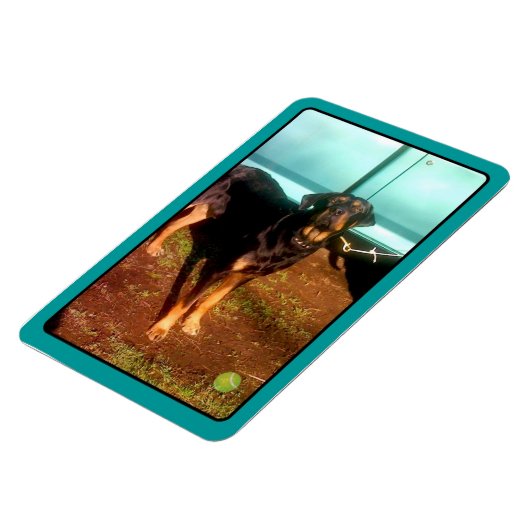 Rottweiler-Mischmagnet Magnet (Linke Seite)