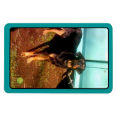 Rottweiler-Mischmagnet Magnet (Horizontal)