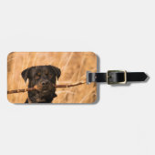 Rottweiler mit Stick Gepäckanhänger (Vorderseite horizontal)