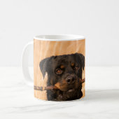 Rottweiler mit Stick Kaffeetasse (Vorderseite Links)