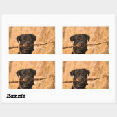Rottweiler mit Stick Rechteckiger Aufkleber (Blatt)