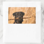 Rottweiler mit Stick Rechteckiger Aufkleber (Tasche)