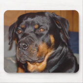 Rottweiler Mousepad (Vorne)