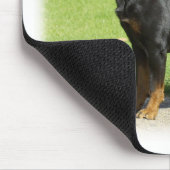 Rottweiler Mousepad (Ecke)