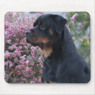 Rottweiler Mousepad