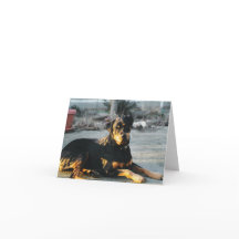 Rottweiler Note Card - leer