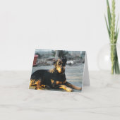 Rottweiler Note Card - leer Karte (Vorderseite)