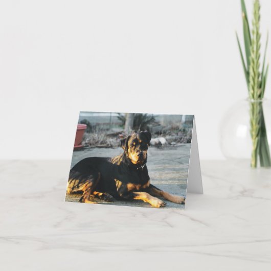 Rottweiler Note Card - leer Karte (Vorderseite)