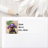 Rottweiler Pirate (Insitu)