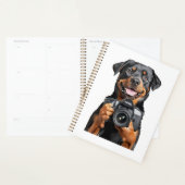 Rottweiler   planer (Anzeige)