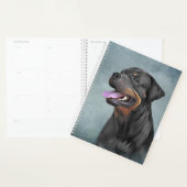 Rottweiler Planer (Anzeige)