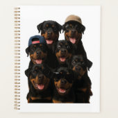 Rottweiler Planer (Vorderseite)