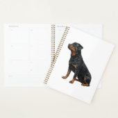 Rottweiler Planer (Anzeige)