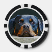 Rottweiler Pokerchips (Vorderseite)