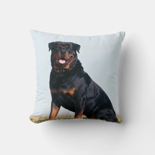 Rottweiler Porträt-Quadrat-Wurfs-Kissen Kissen (Vorderseite)