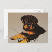 ROTTWEILER POSTCAR POSTKARTE (Vorne/Hinten)