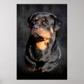 Rottweiler Poster (Vorne)