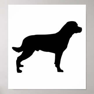 Rottweiler Poster