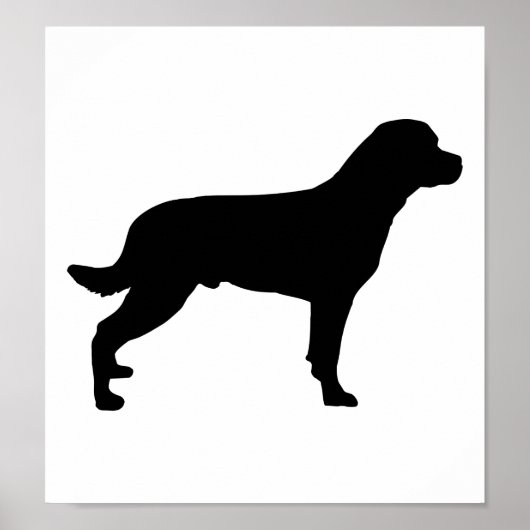 Rottweiler Poster (Vorne)