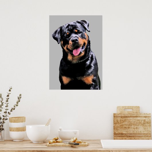 Rottweiler Poster (Küche)