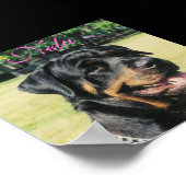 Rottweiler Poster (Ecke)