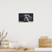 Rottweiler Poster (Küche)