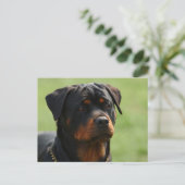 Rottweiler Postkarte (Stehend Vorderseite)