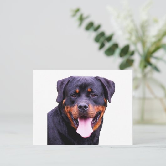 Rottweiler Postkarte (Stehend Vorderseite)