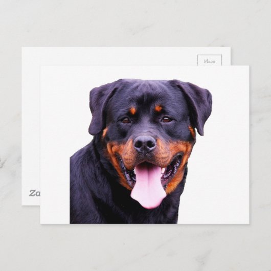 Rottweiler Postkarte (Vorne/Hinten)