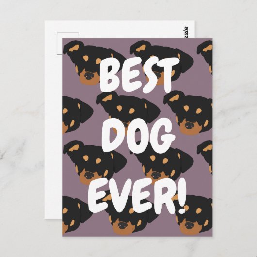 Rottweiler Postkarte (Vorne/Hinten)