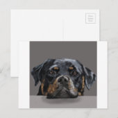 Rottweiler Postkarte (Vorne/Hinten)