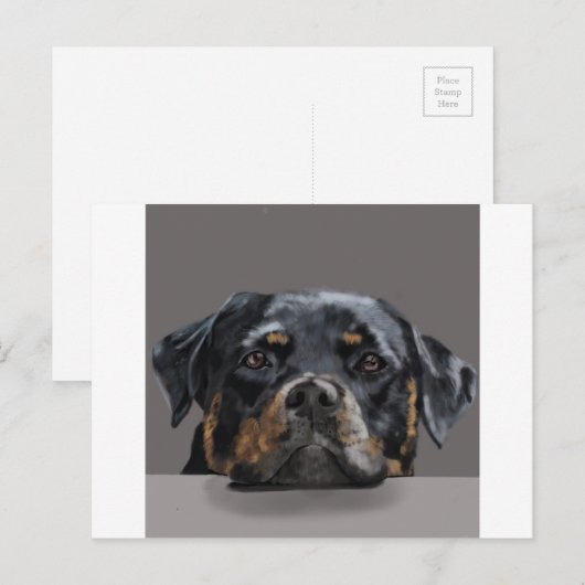 Rottweiler Postkarte (Vorne/Hinten)