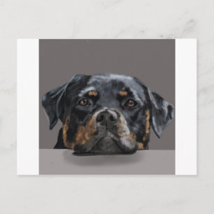 Rottweiler Postkarte